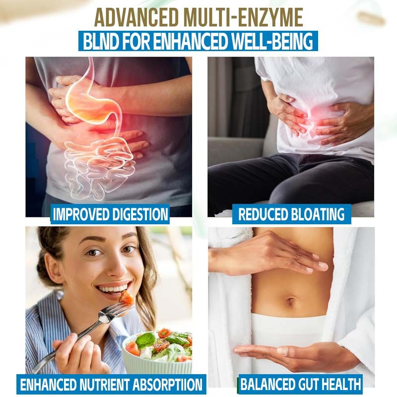 Digestive Enzymes Capsules Factory - Prebiotics Probiotics Gut