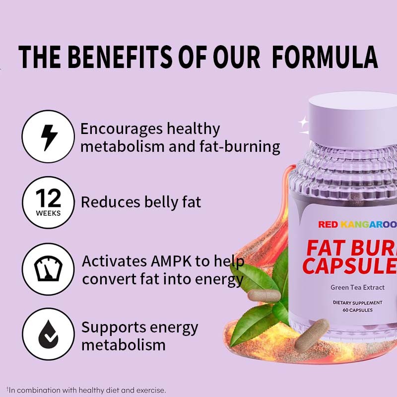 Fat Burning Capsules Supplier - OEM Green Tea Metabolism Boost