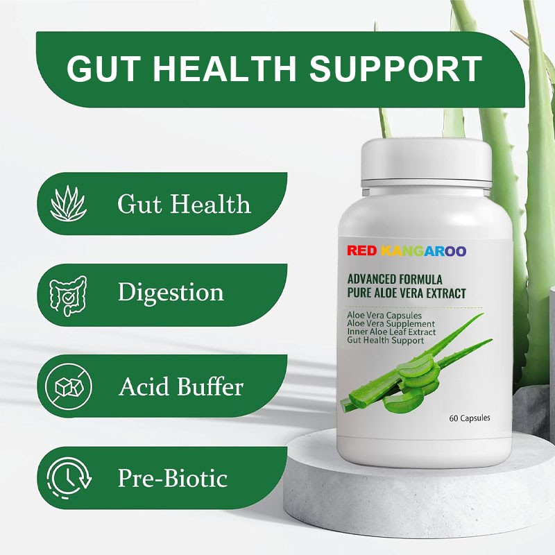 Aloe Vera Capsules Factory - OEM Digestive Immune Herbal Supplement