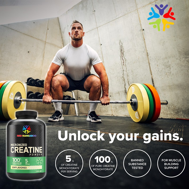 Creatine Powder Supplier - Monohydrate Muscle Building Energy