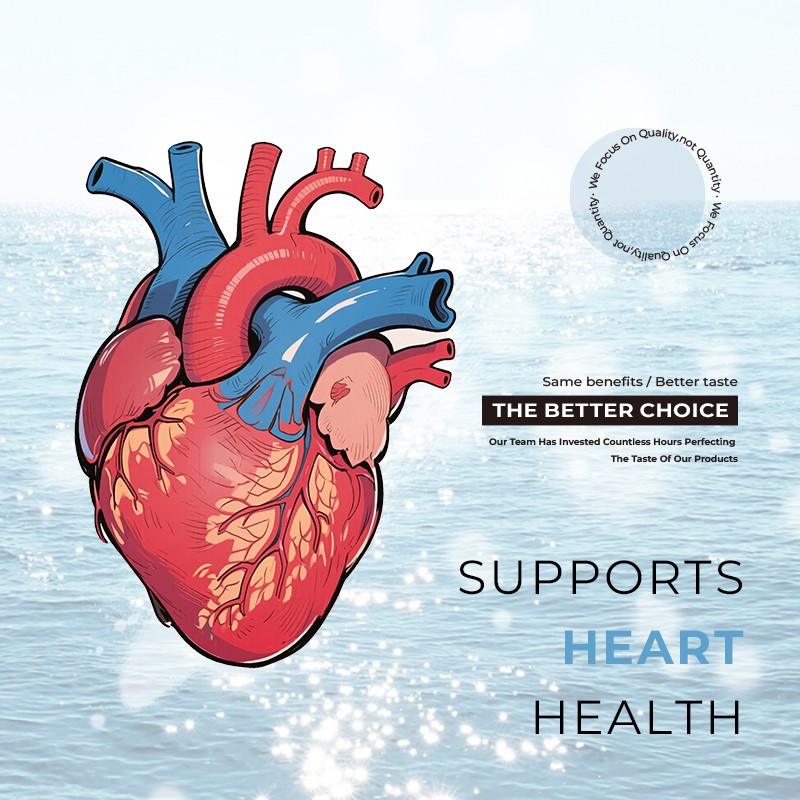 Omega-3 Softgels Factory - OEM Fish Oil Heart Health Support