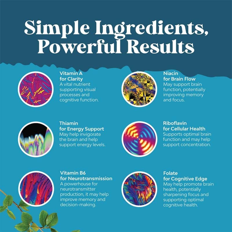 Nootropic Capsules Factory - OEM Mental Energy Brain Focus