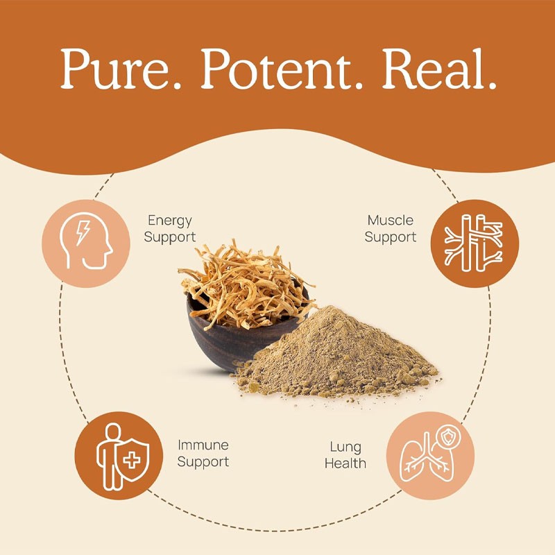 Cordyceps Capsules Supplier - OEM Mushroom Extract Energy Immune