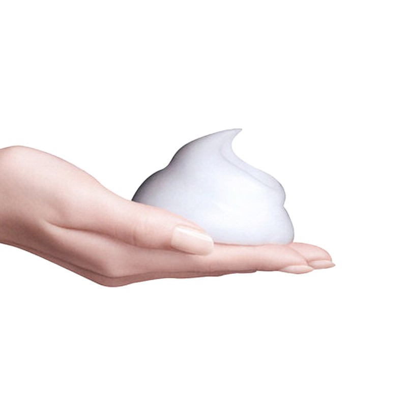 Fabric Cleaner Spray Supplier - Non Washable Dry Foam Remover