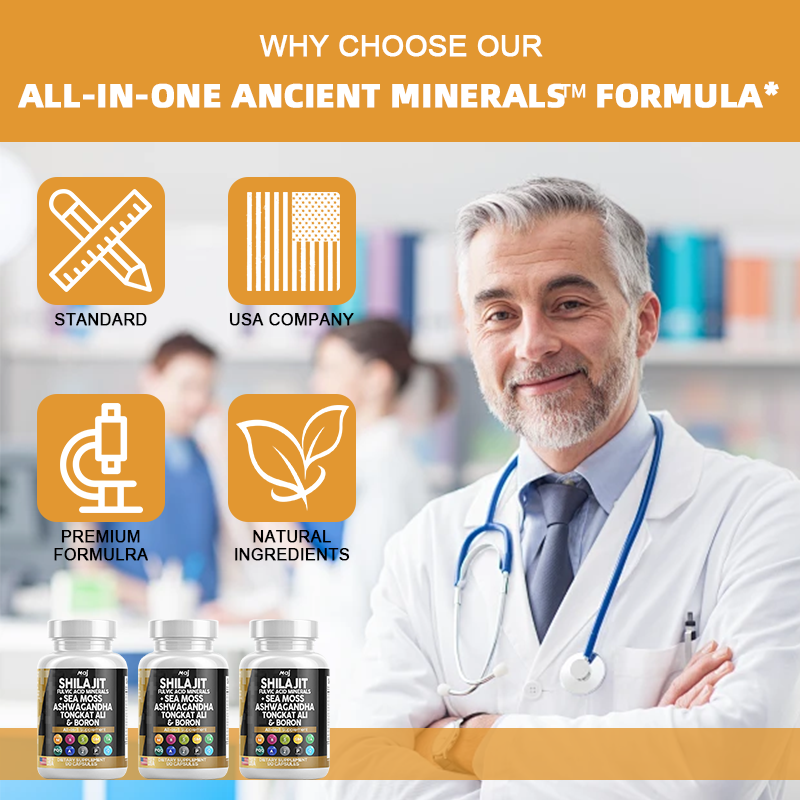 Shilajit Capsules Manufacturer - OEM Fulvic Minerals Complex