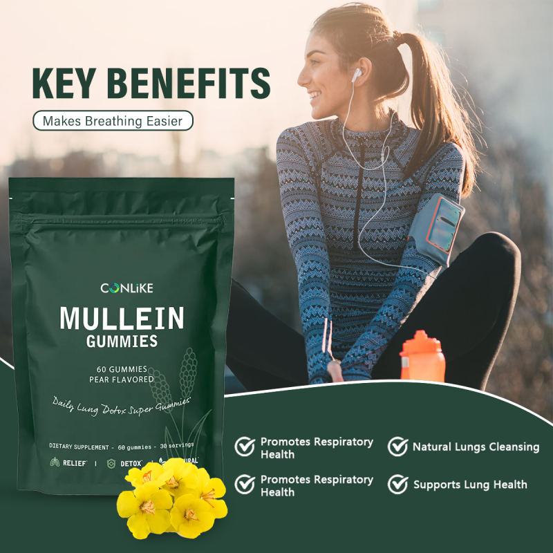 Respiratory Health Gummies Supplier - 1000mg Mullein Leaf Extract