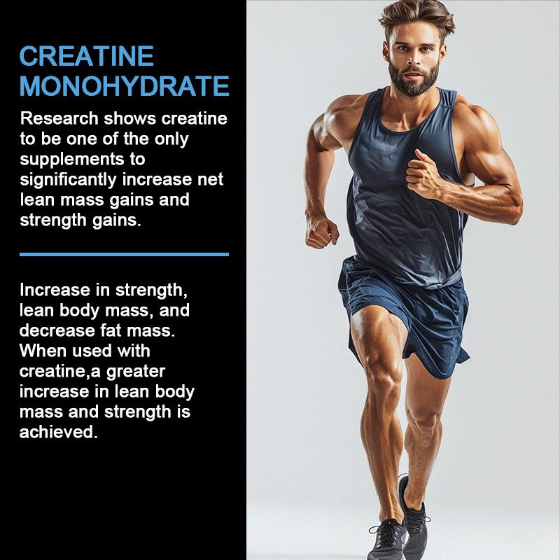 Creatine Powder Supplier - OEM Custom Label Monohydrate