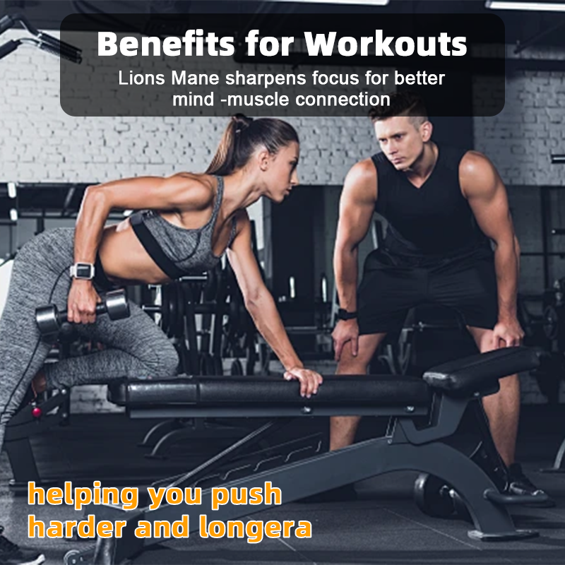 Shilajit Capsules Supplier - Organic Sea Moss Lion Mane