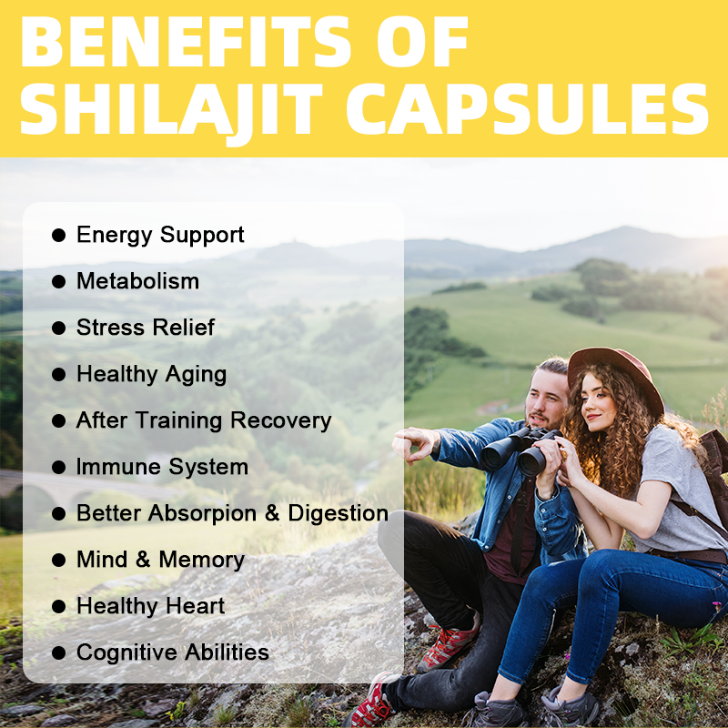 Shilajit Gummies Supplier - Himalayan 60 Wrapped Organic