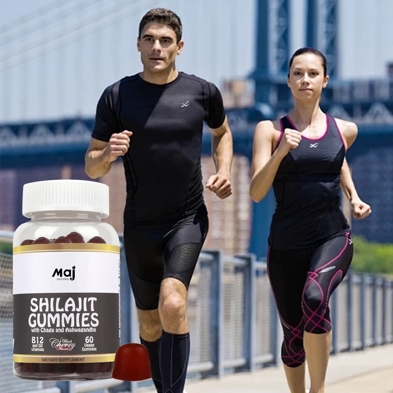 Shilajit Extract Capsule Manufacturer - Himalayan Energy Memory