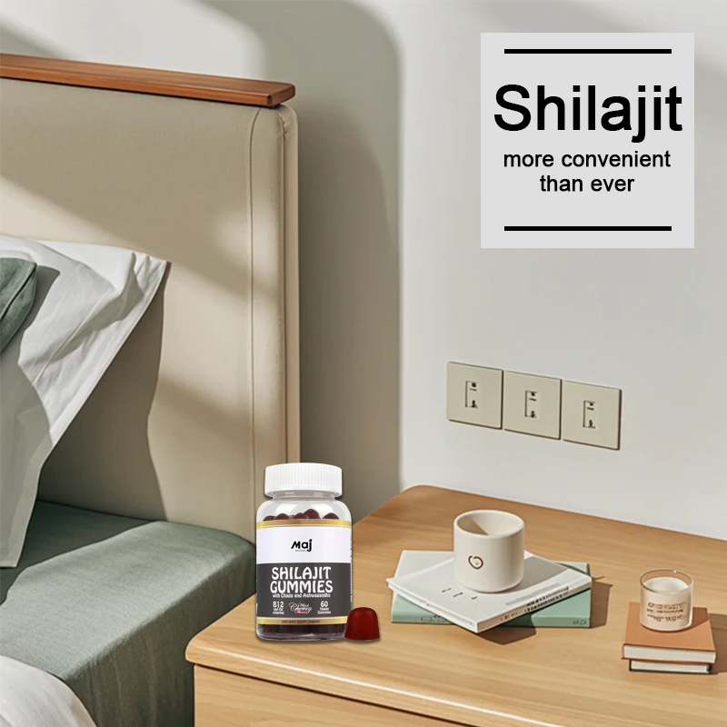 Shilajit Extract Capsule Manufacturer - Himalayan Energy Memory