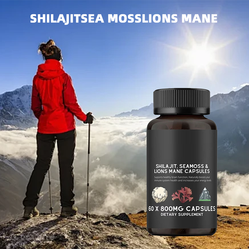 Shilajit Capsules Supplier - Organic Sea Moss Lion Mane