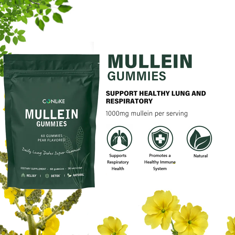 Respiratory Health Gummies Supplier - 1000mg Mullein Leaf Extract