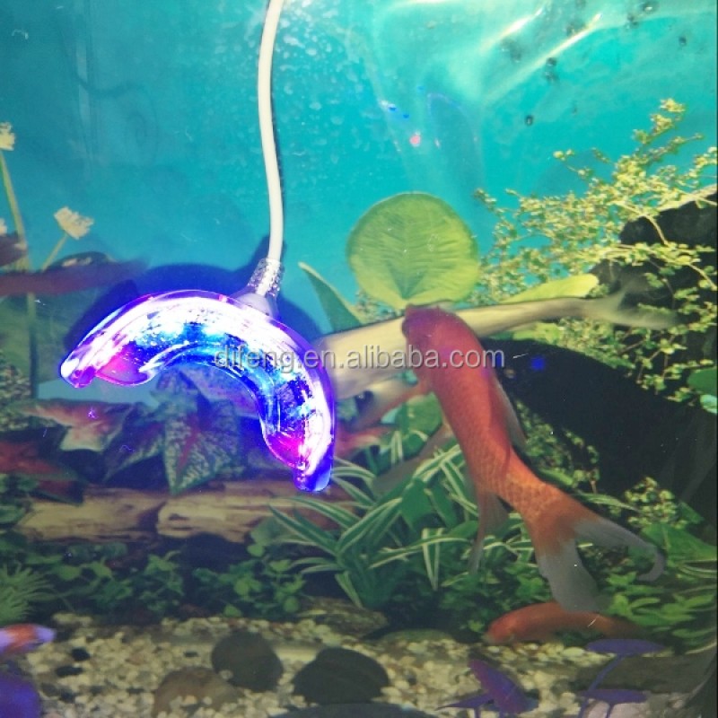 Teeth Bleaching Light Manufacturer - Fashionable Portable LED