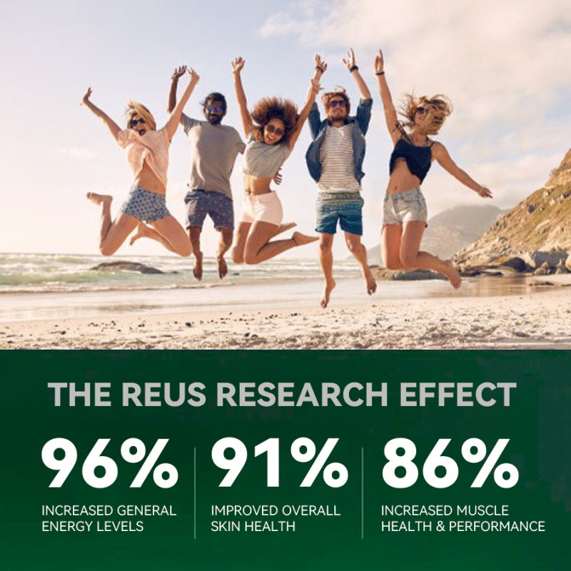 NAD+ Capsules Supplier - High Purity Resveratrol Quercetin