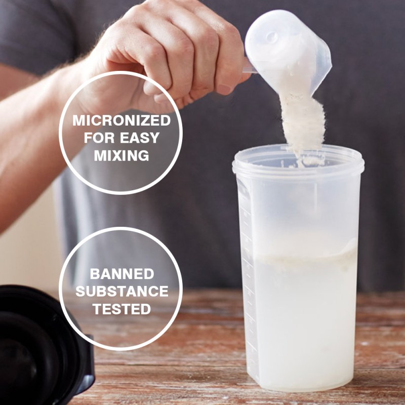 Whey Protein Powder Factory - 90% Isolate 80% Concentrate