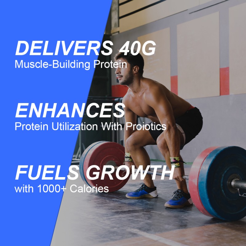 Mass Gainer Powder Manufacturer - Wholesale 4lb Strong Muscle