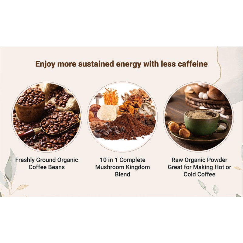 Mushroom Coffee Supplier - OEM Organic 10 in 1 Blend