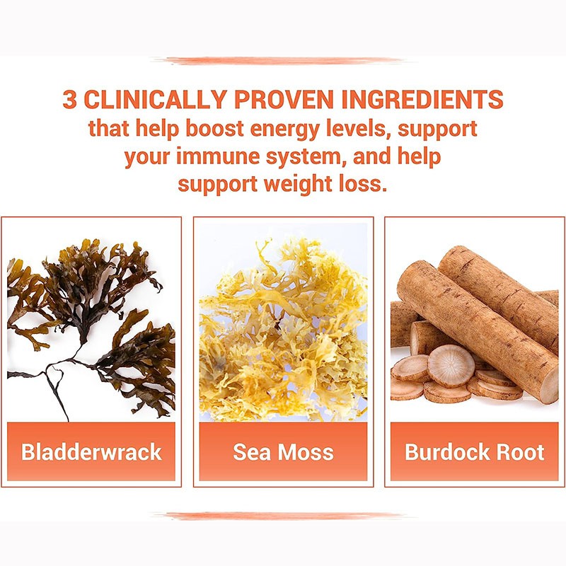 Seaweed Immunity Capsules Supplier - Factory Vegetarian Shell