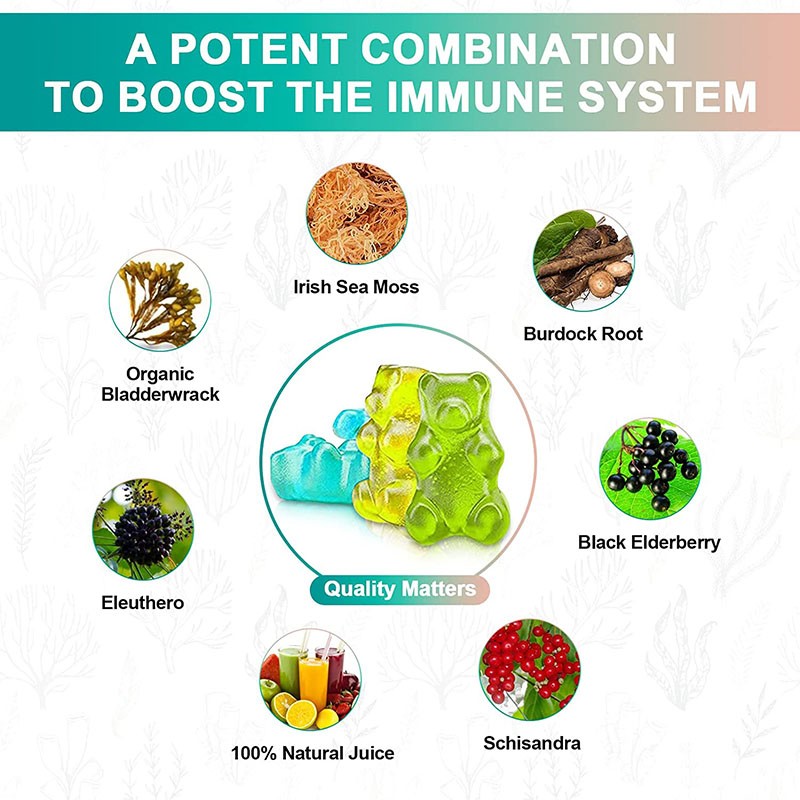 Sea Moss Gummies Manufacturer - Organic Elderberry Resistance