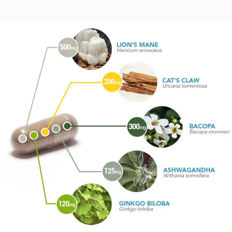 Brain Boost Capsules Manufacturer - OEM Memory Attention Enhance