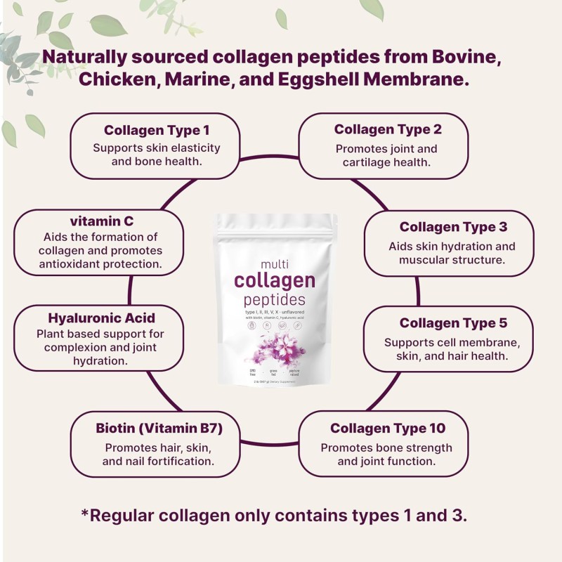 Collagen Peptides Powder Supplier - Hydrolyzed Unflavored Beauty