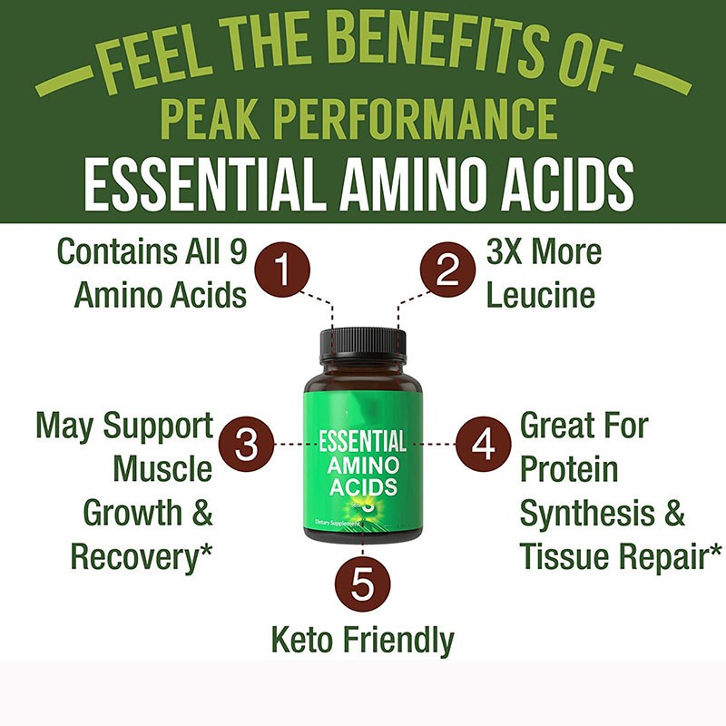 Amino Acid Capsules Factory - Source Factory Plant Shell