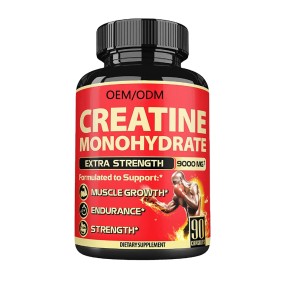 Creatine Capsules Supplier - Vegetarian 500mg Monohydrate