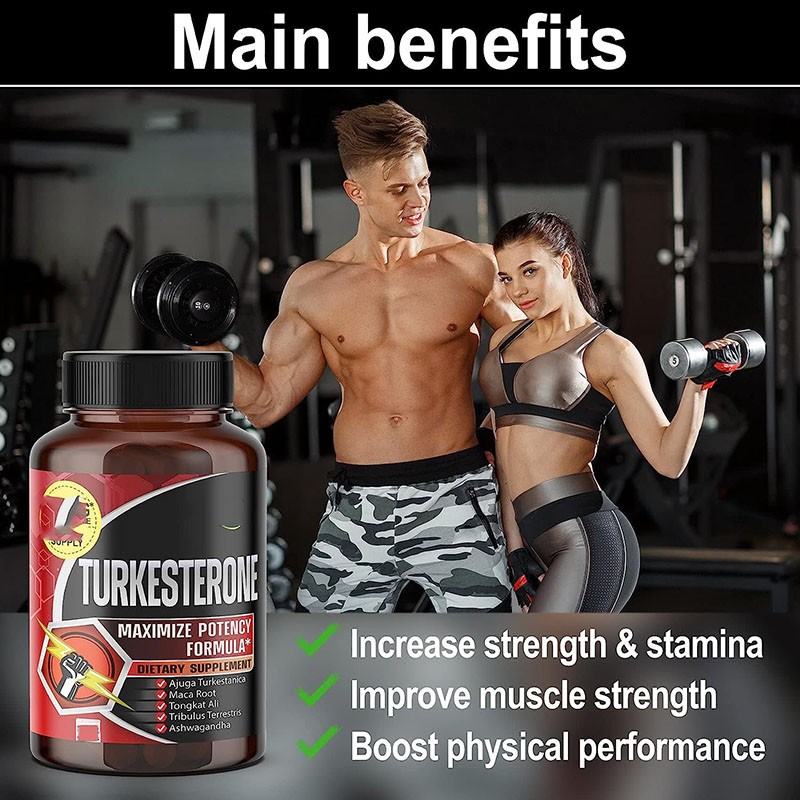 Ajuga Turkestanica Capsules Factory - OEM 20% Turtesterone Extract