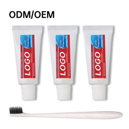 Toothpaste Supplier - OEM Hotel Cavity Protection Fluoride