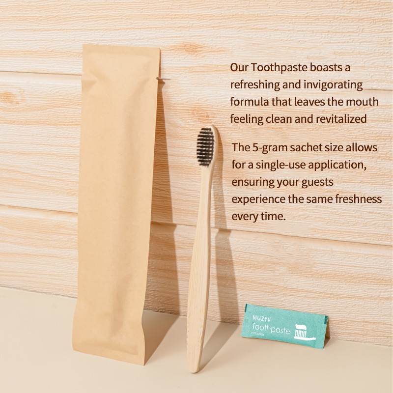 Travel Toothpaste Supplier - Eco Friendly 5g Mini Kraft