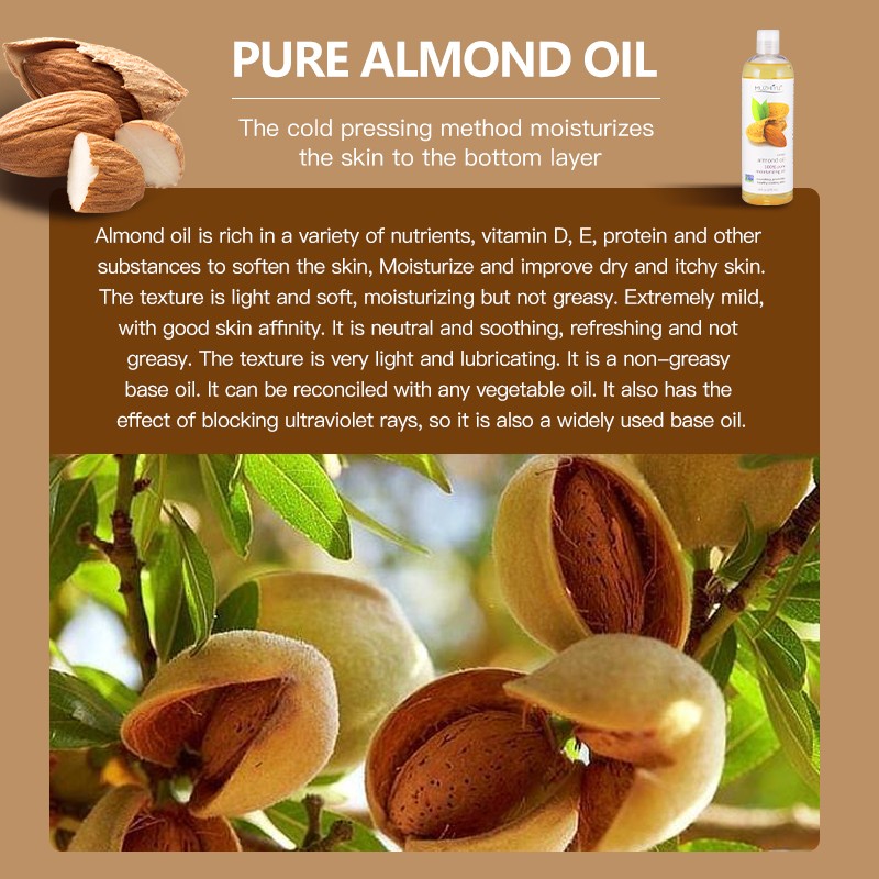 Sweet Almond Oil Factory - OEM Bulk 100% Pure Natural