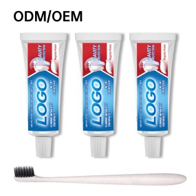 Toothpaste Supplier - OEM Portable Mini 20g Fluoride