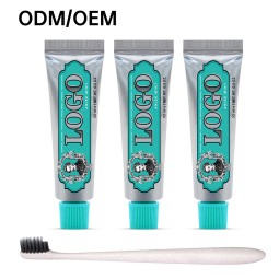 Toothpaste Manufacturer - OEM Mini Peppermint Tooth Decay