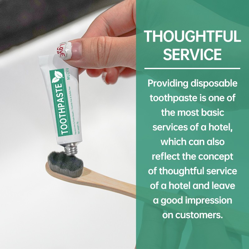 Travel Toothpaste Manufacturer - OEM Logo 5g Mint Mini