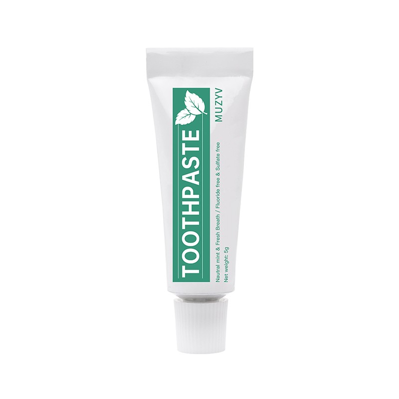 Travel Toothpaste Manufacturer - OEM Logo 5g Mint Mini