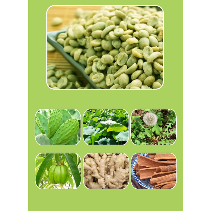 High Quantity Promote Metabolism 28-day Slim Fit Tablets with Garcinia Cambogia Extract and Abdominal Nutrition Supplement.