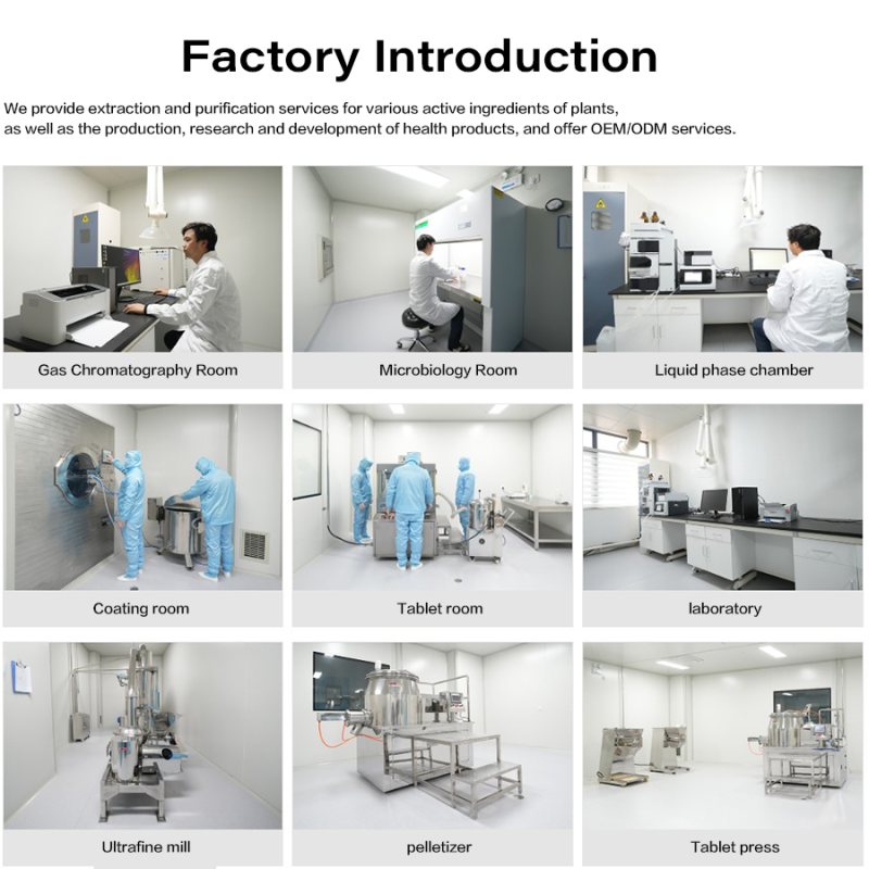 Saw Palmetto Powder Supplier - OEM Nutrient Rich Prostate