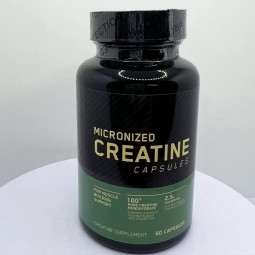 Creatine Powder Manufacturer - Monohydrate Capsules Muscle Strength
