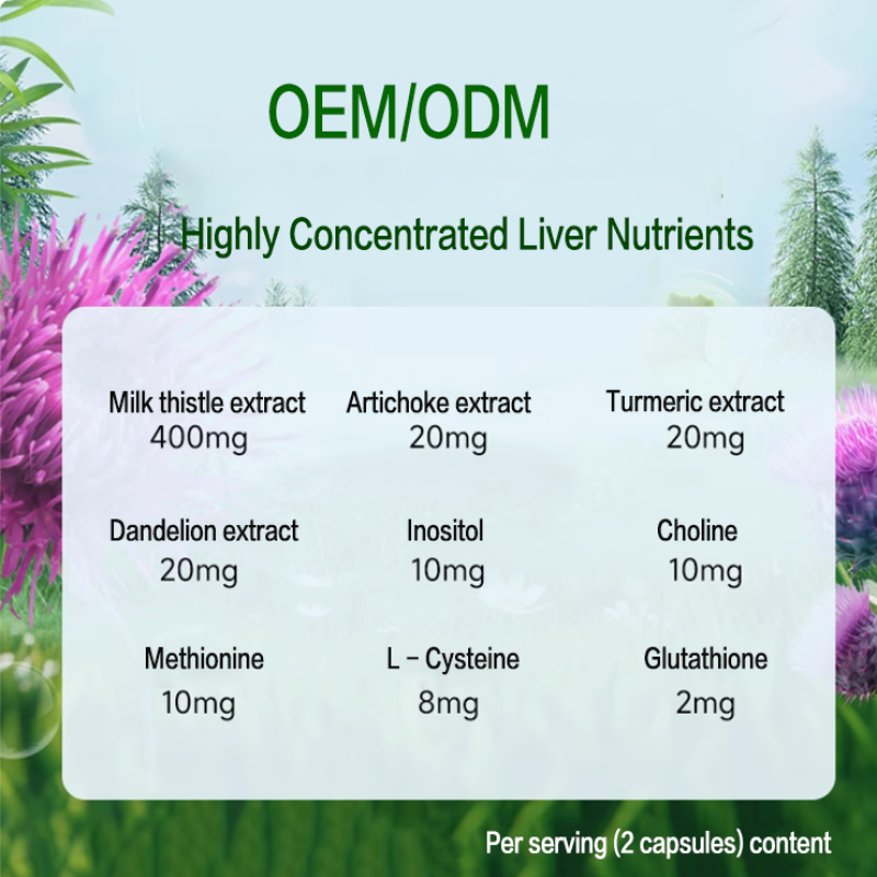 Milk Thistle Capsules Factory - OEM Liver Health Herbal Protect
