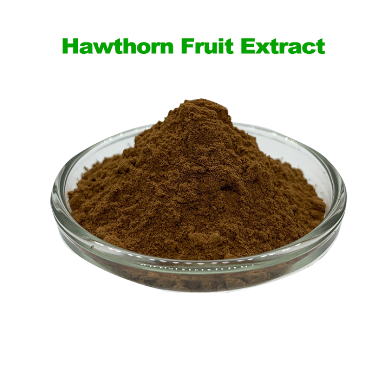 Hawthorn Powder Factory - Food Grade Leaf Berry Extract