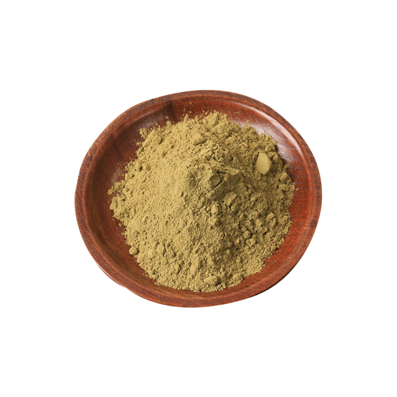 Herbal Extract Powder Supplier - Side Louper Plant Bottle Drum