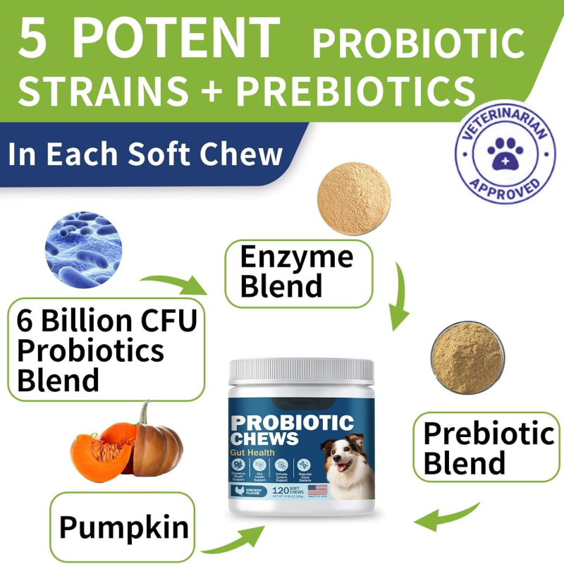 Dog Probiotic Chews Factory - OEM Digestive Enzyme Supplement
