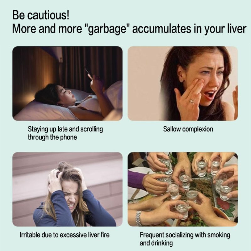 Milk Thistle Capsules Factory - OEM Liver Health Herbal Protect