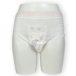 Sanitary Panties Supplier - Wholesale Women Disposable Absorbent
