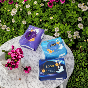 Sanitary Pad Pantie Supplier - Private Label Super Absorbent