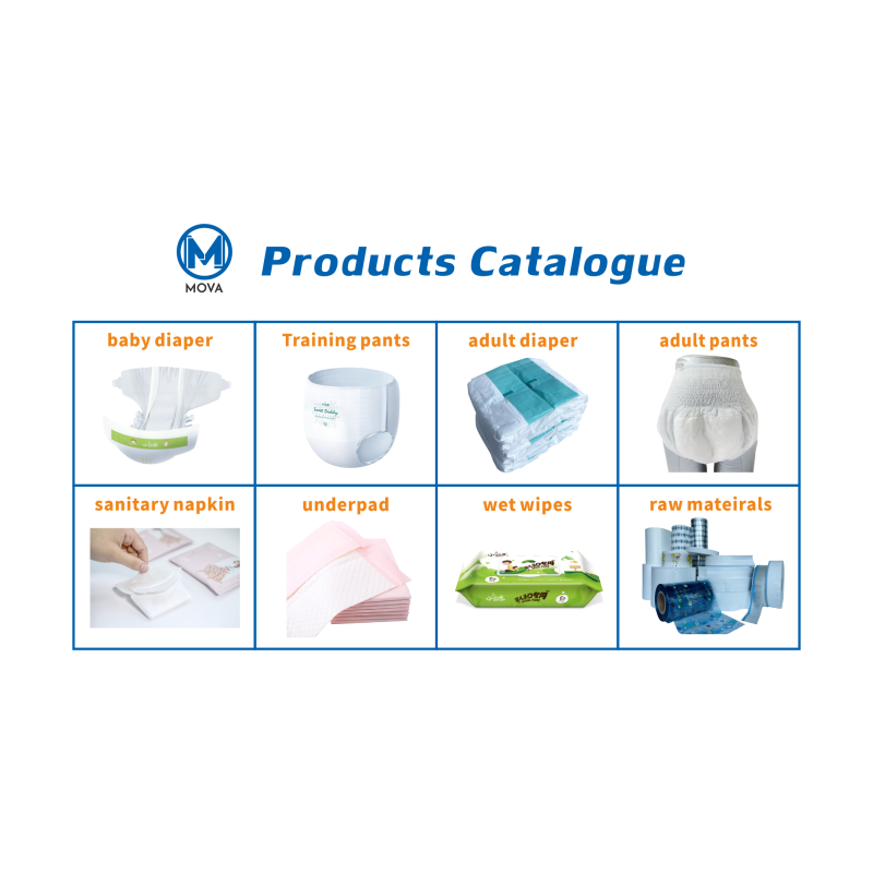 Adult Diaper Supplier - Free Sample Waterproof Elder Sized Printed