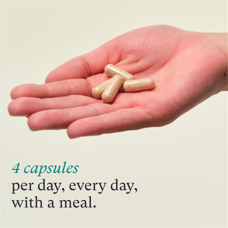 Marine Collagen Capsules Supplier - Type 1 and 3 with Hyaluronic Acid