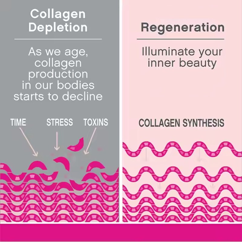 Marine Collagen Capsules Supplier - Type 1 and 3 with Hyaluronic Acid