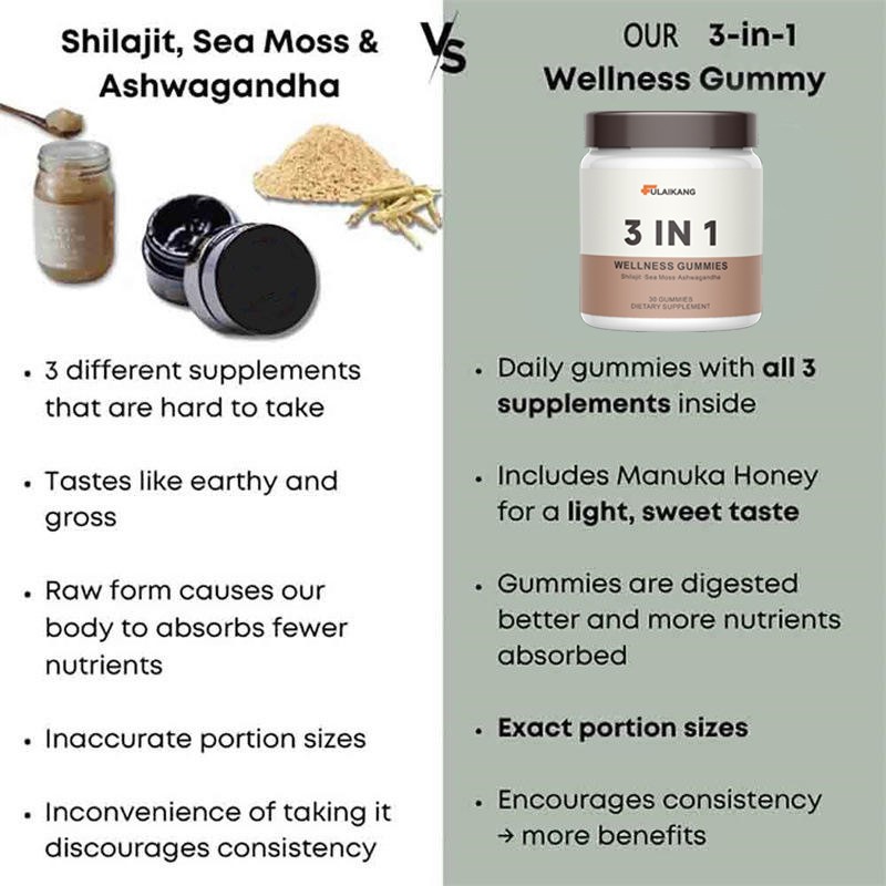 Wellness Gummies Manufacturer - OEM/ODM 3-in-1 Herbal Health Boost